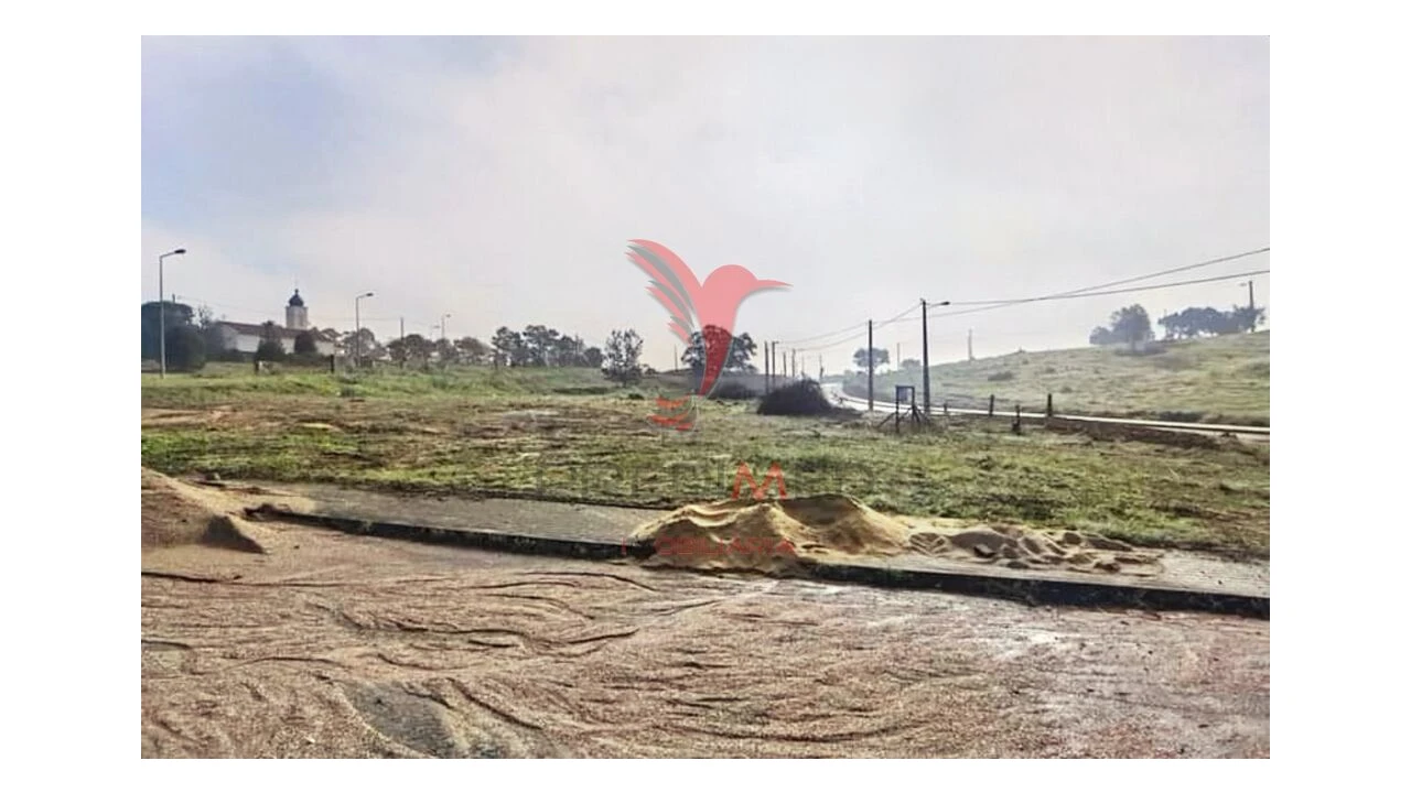 Terreno para Venda em Torres Novas (Santa Maria, Salvador e Santiago) Foto 1