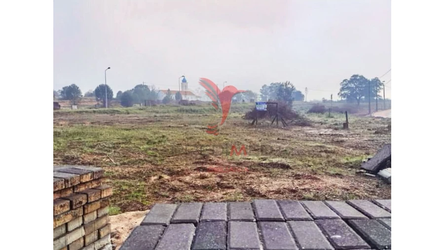 Terreno para Venda em Torres Novas (Santa Maria, Salvador e Santiago) Foto 9