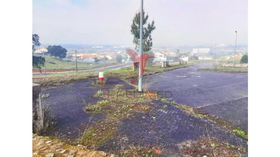 Terreno para Venda em Torres Novas (Santa Maria, Salvador e Santiago) Foto 14