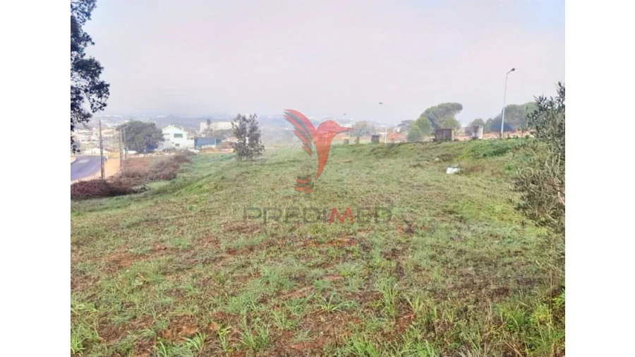 Terreno para Venda em Torres Novas (Santa Maria, Salvador e Santiago) Foto 12