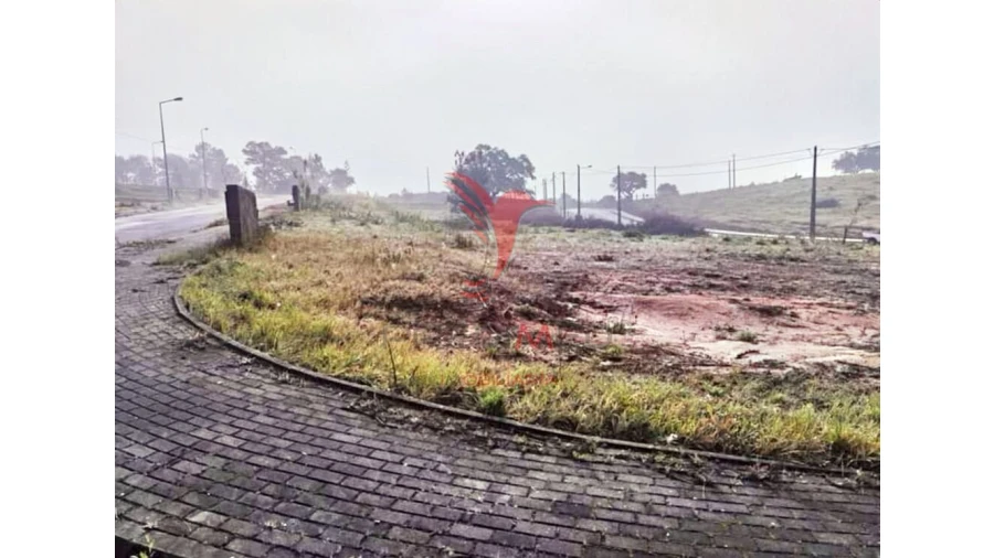 Terreno para Venda em Torres Novas (Santa Maria, Salvador e Santiago) Foto 3