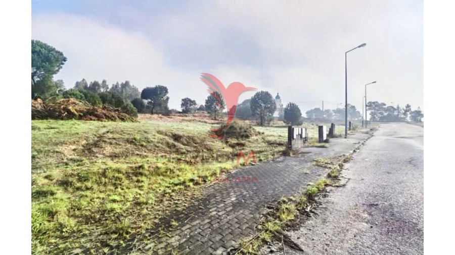 Terreno para Venda em Torres Novas (Santa Maria, Salvador e Santiago) Foto 20