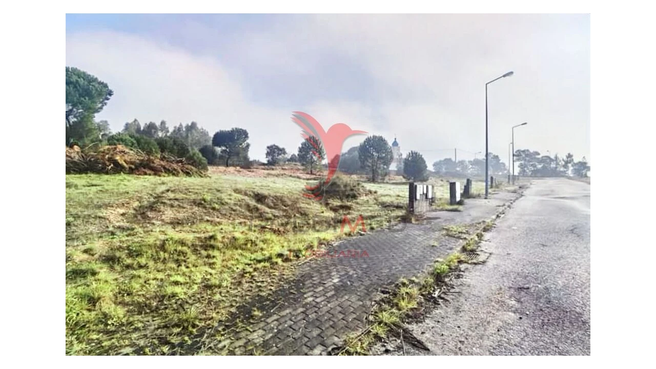 Terreno para Venda em Torres Novas (Santa Maria, Salvador e Santiago) Foto 20