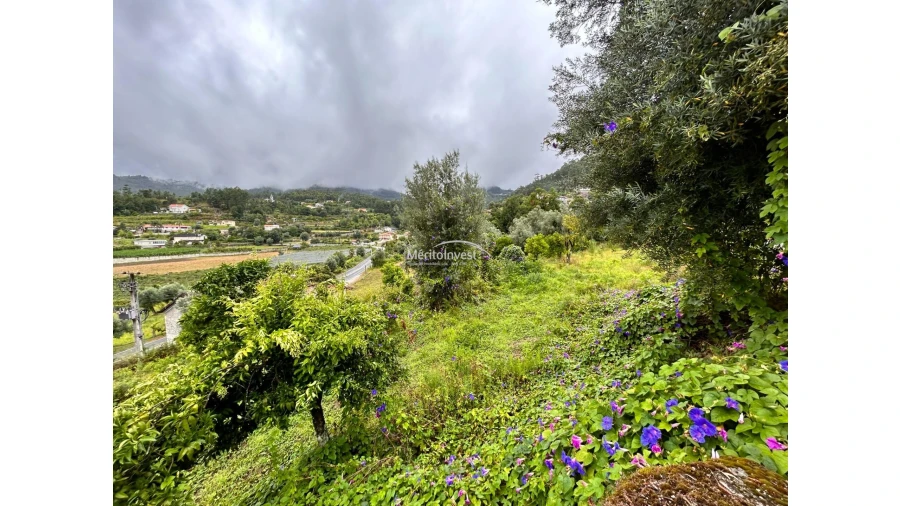 Terreno para Venda em Goães Foto 4