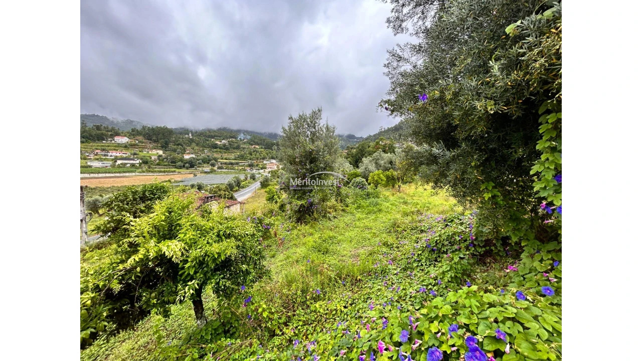 Terreno para Venda em Goães Foto 2