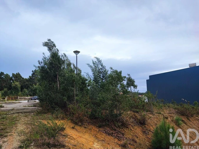 Terreno para Venda em São Miguel do Souto e Mosteirô Foto 2