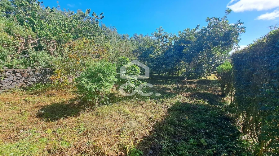 Moradia T6 para Venda em Rabo de Peixe Foto 45