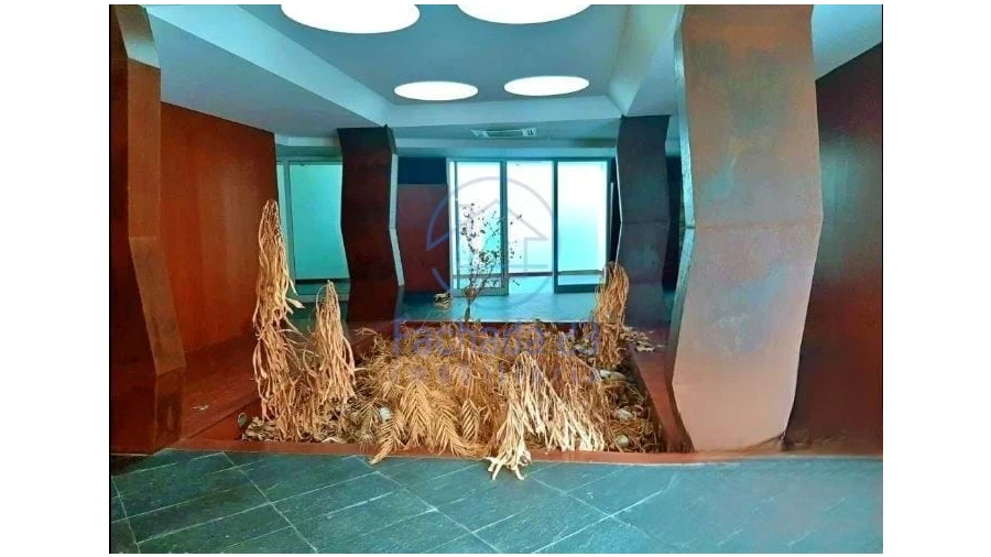 Escritório para Venda em Santa Marinha Foto 8