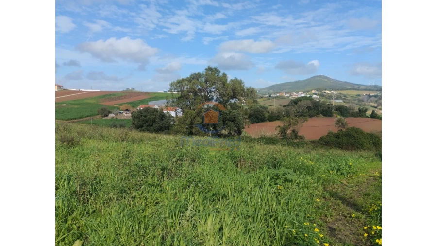 Terreno para Venda em Azueira e Sobral da Abelheira Foto 5
