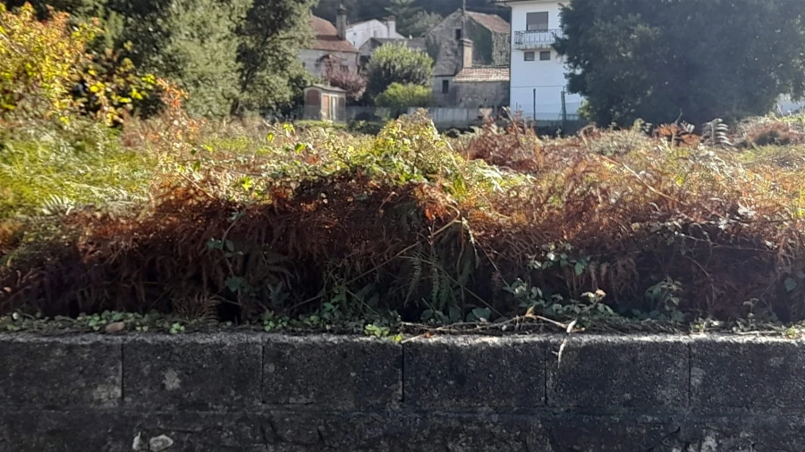 Terreno para Venda em Lanhelas Foto 10