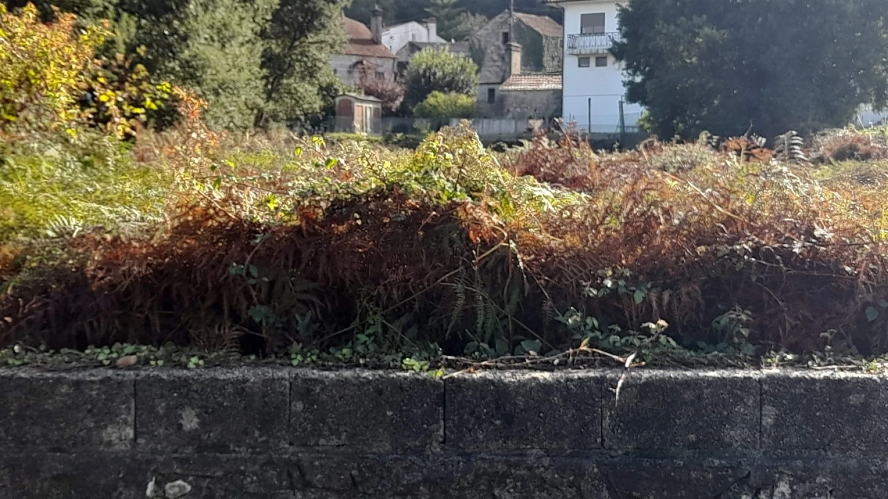 Terreno para Venda em Lanhelas Foto 10