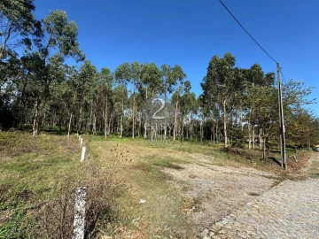 Terreno para Venda em Arvore