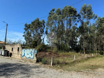 Terreno para Venda em Arvore