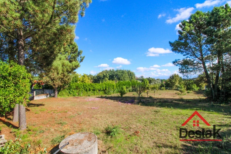 Moradia T4 para Venda em Rio de Loba Foto 35