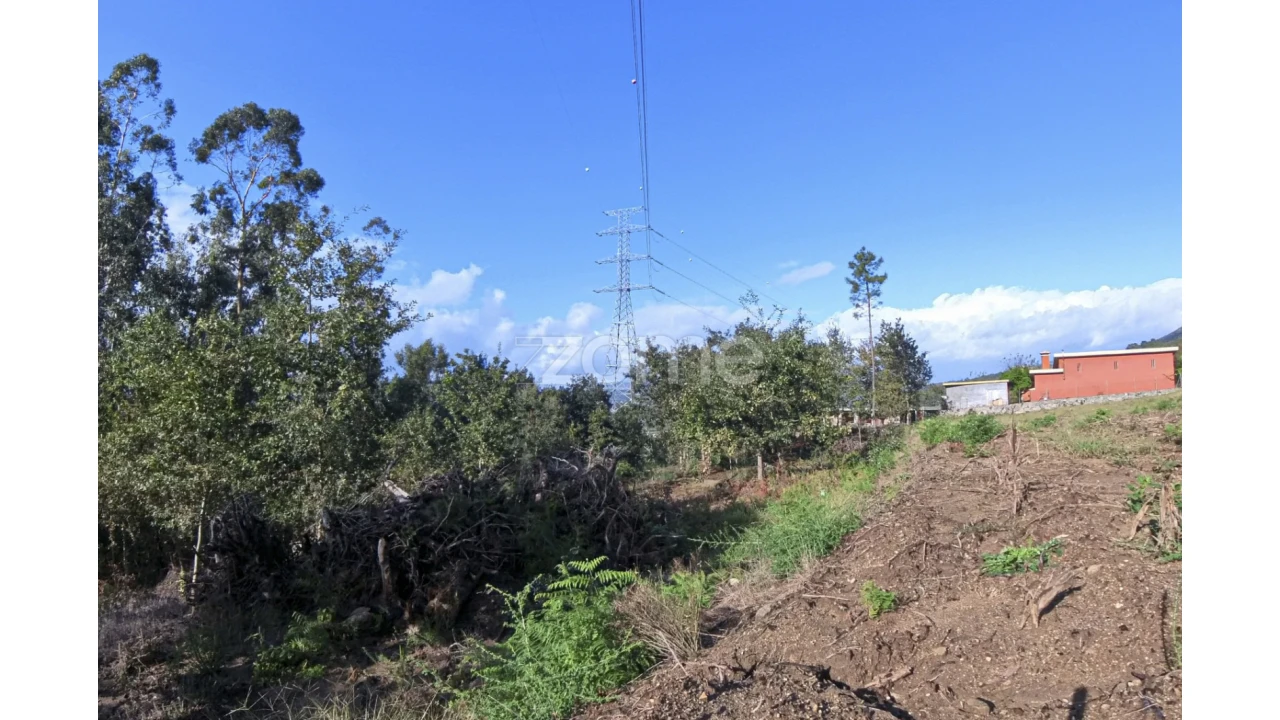 Moradia T3 para Venda em Fiscal Foto 32