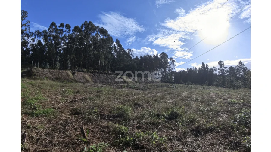 Moradia T3 para Venda em Fiscal Foto 26