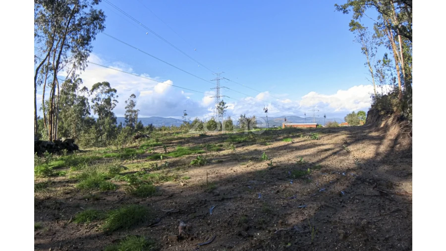 Moradia T3 para Venda em Fiscal Foto 28