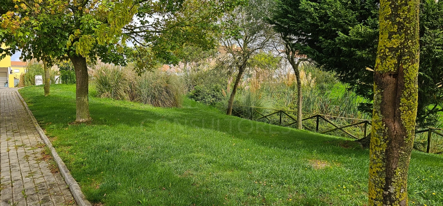 Terreno para Venda em Campelos e Outeiro da Cabeça Foto 5