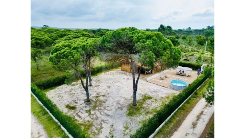 Terreno para Venda em Melides