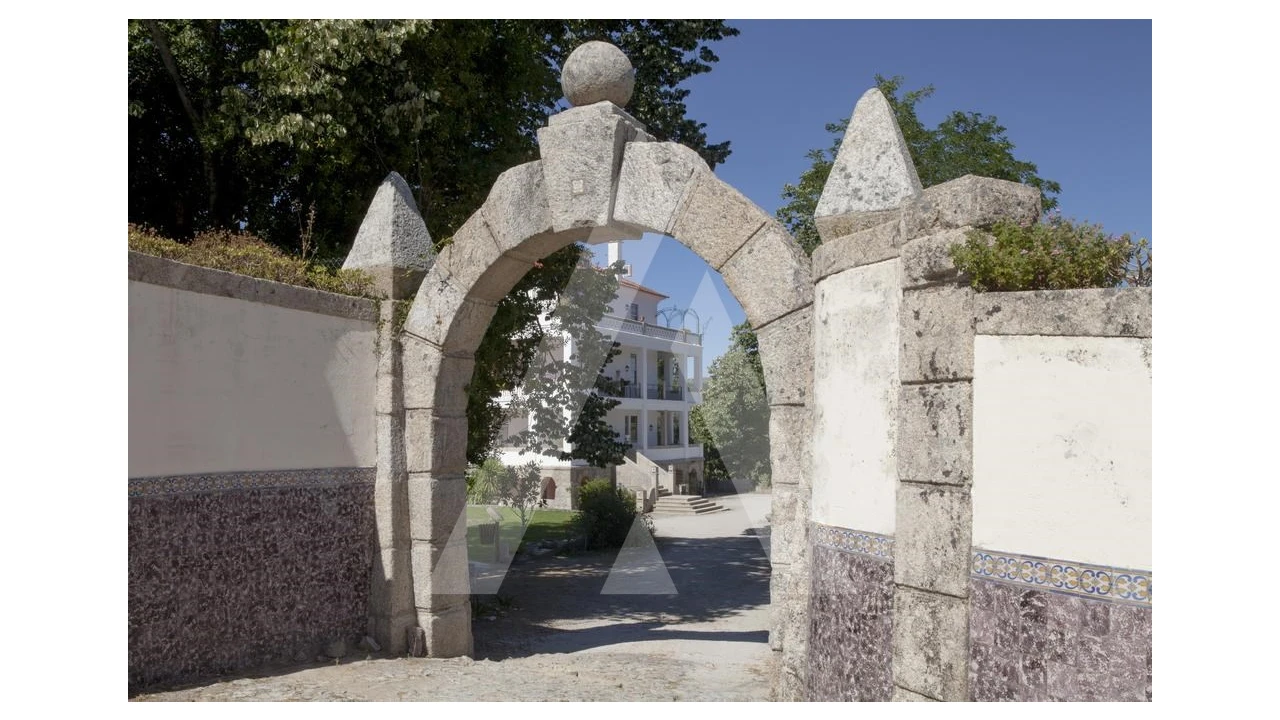 Negócio para Venda em Abrunhosa-A-Velha Foto 2