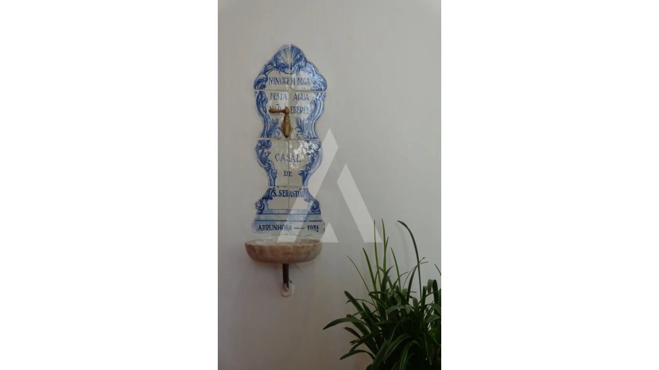 Negócio para Venda em Abrunhosa-A-Velha Foto 20