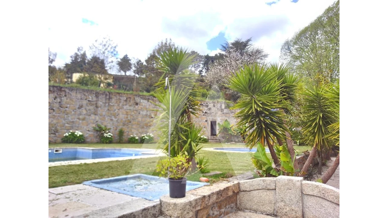 Negócio para Venda em Abrunhosa-A-Velha Foto 29