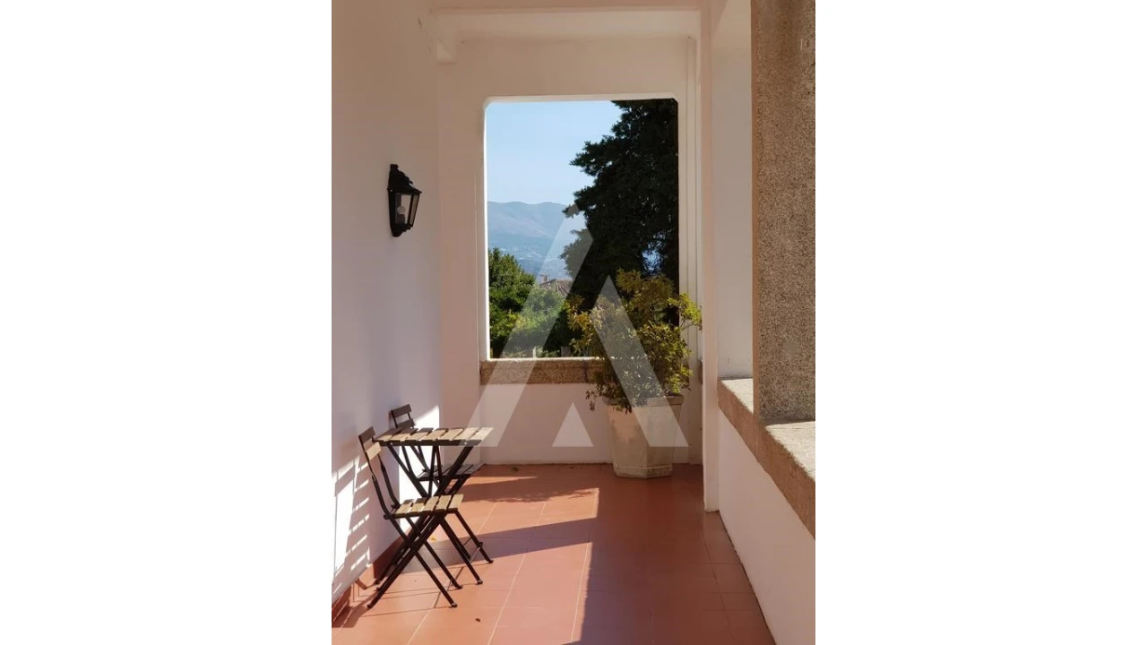 Negócio para Venda em Abrunhosa-A-Velha Foto 19