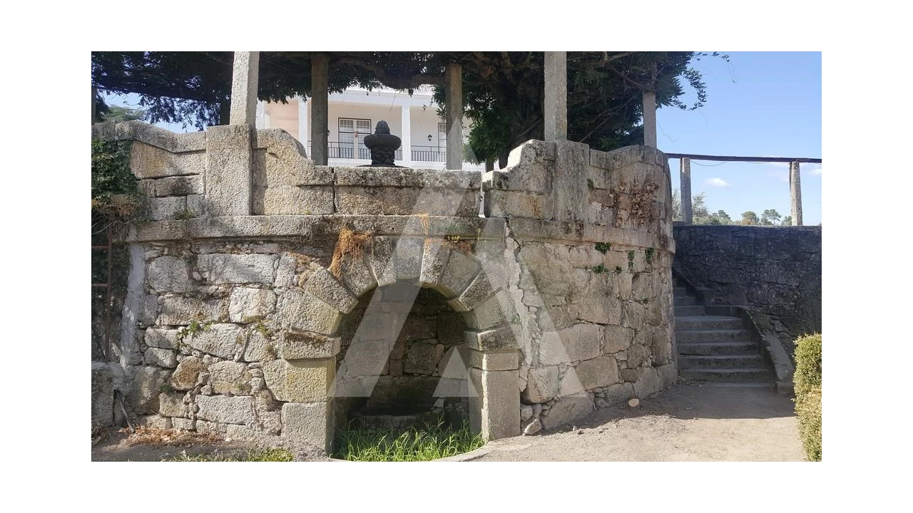 Negócio para Venda em Abrunhosa-A-Velha Foto 41