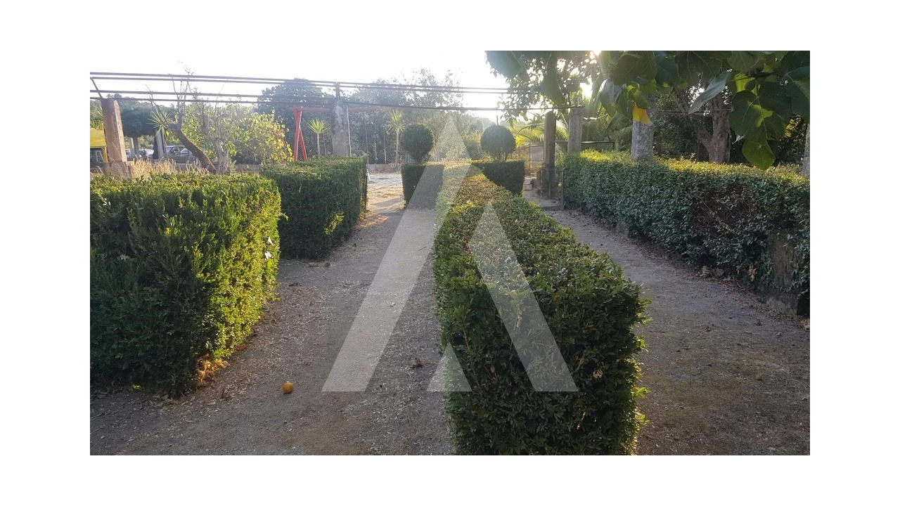 Negócio para Venda em Abrunhosa-A-Velha Foto 32