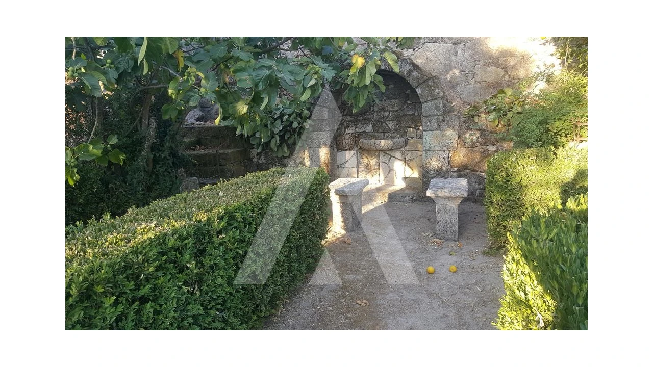 Negócio para Venda em Abrunhosa-A-Velha Foto 33