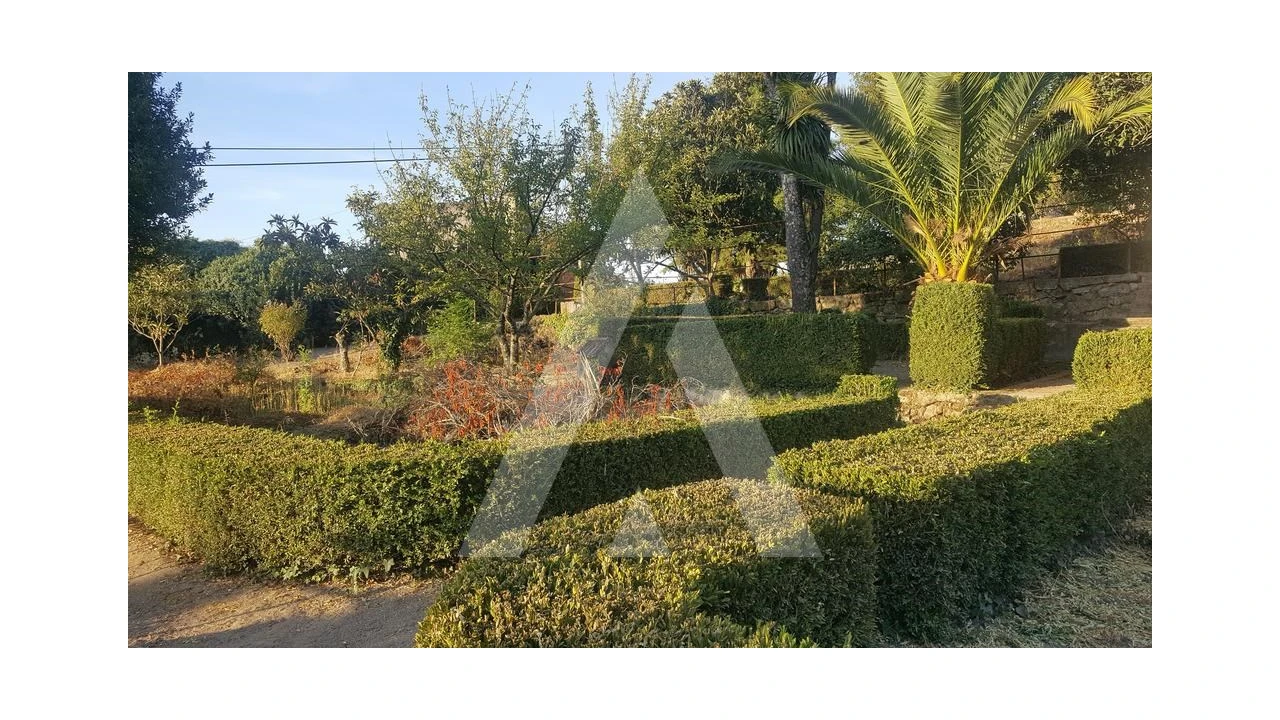 Negócio para Venda em Abrunhosa-A-Velha Foto 34