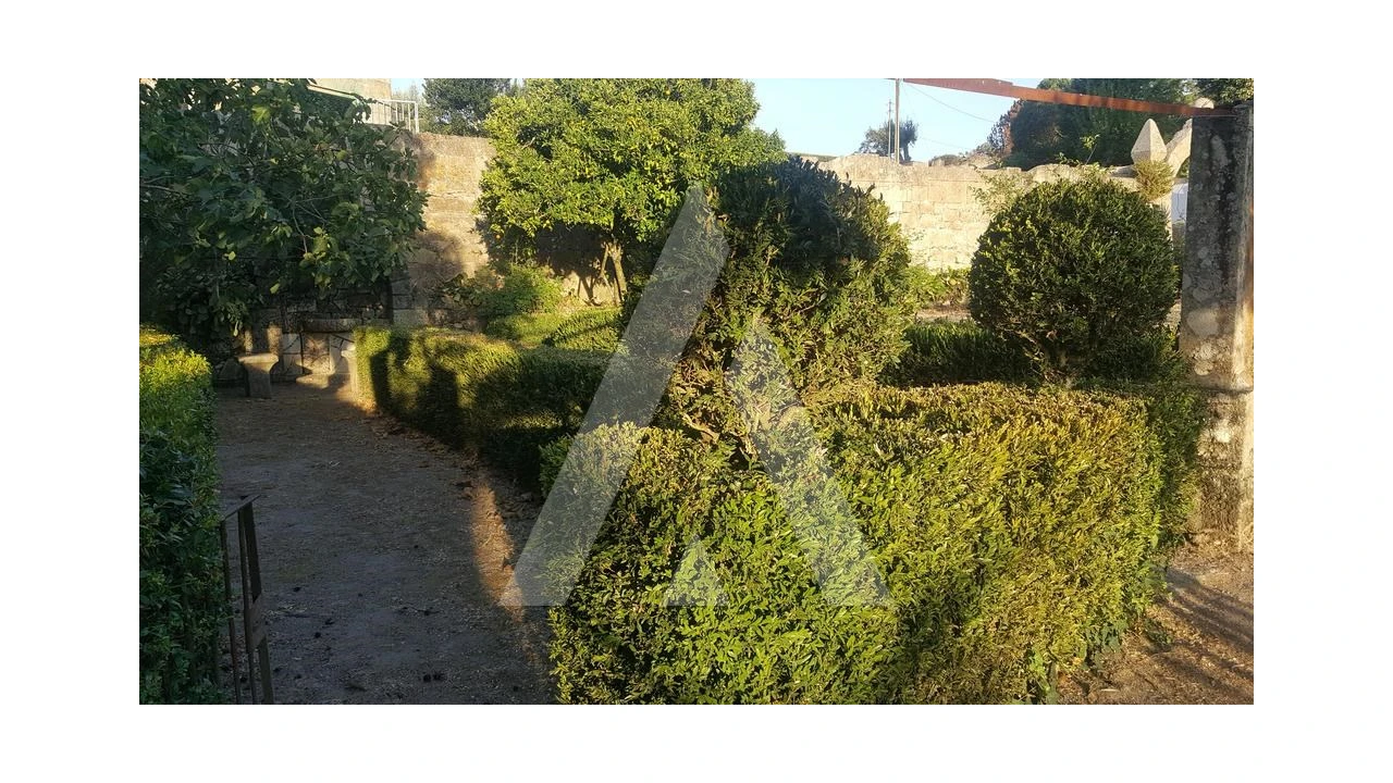 Negócio para Venda em Abrunhosa-A-Velha Foto 36