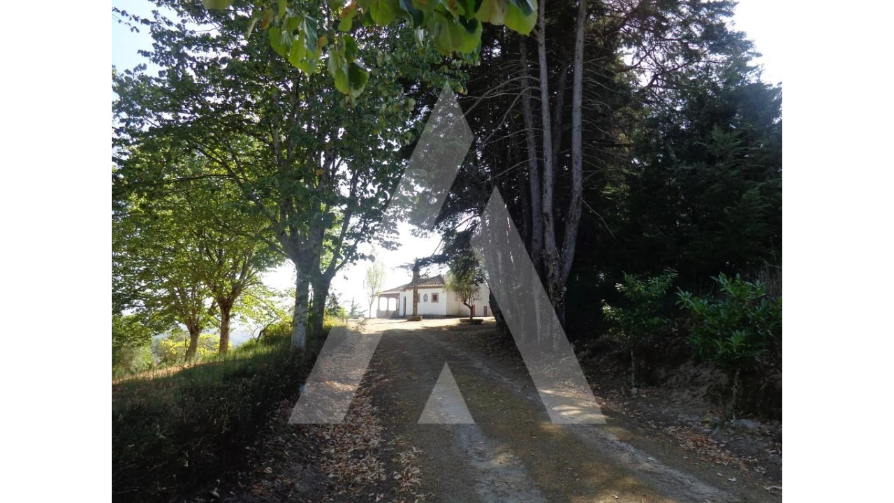 Negócio para Venda em Abrunhosa-A-Velha Foto 38