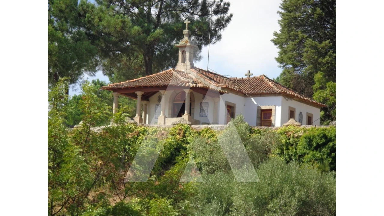 Negócio para Venda em Abrunhosa-A-Velha Foto 43