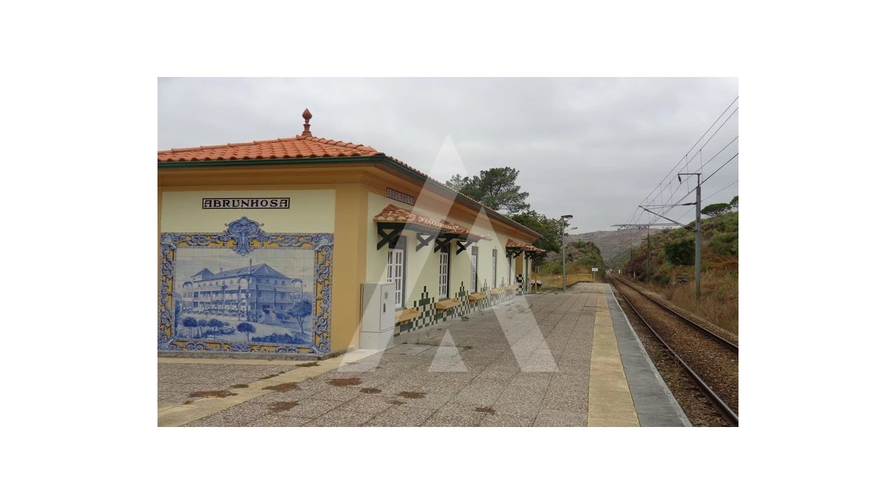 Negócio para Venda em Abrunhosa-A-Velha Foto 52