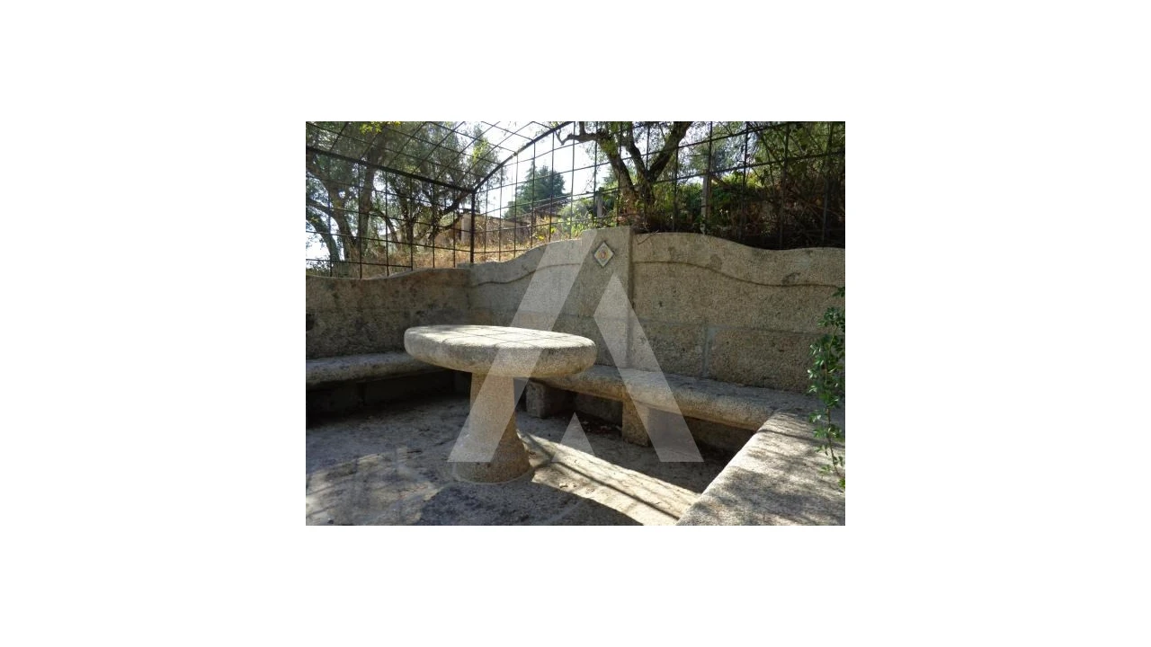 Negócio para Venda em Abrunhosa-A-Velha Foto 54