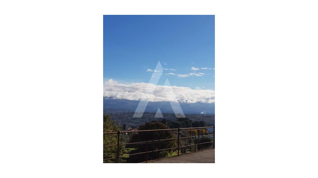 Negócio para Venda em Abrunhosa-A-Velha Foto 63