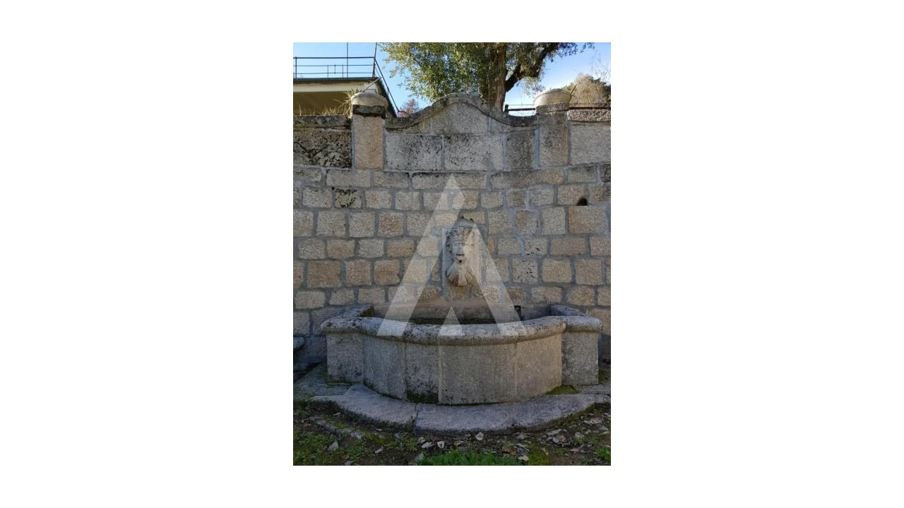 Negócio para Venda em Abrunhosa-A-Velha Foto 55