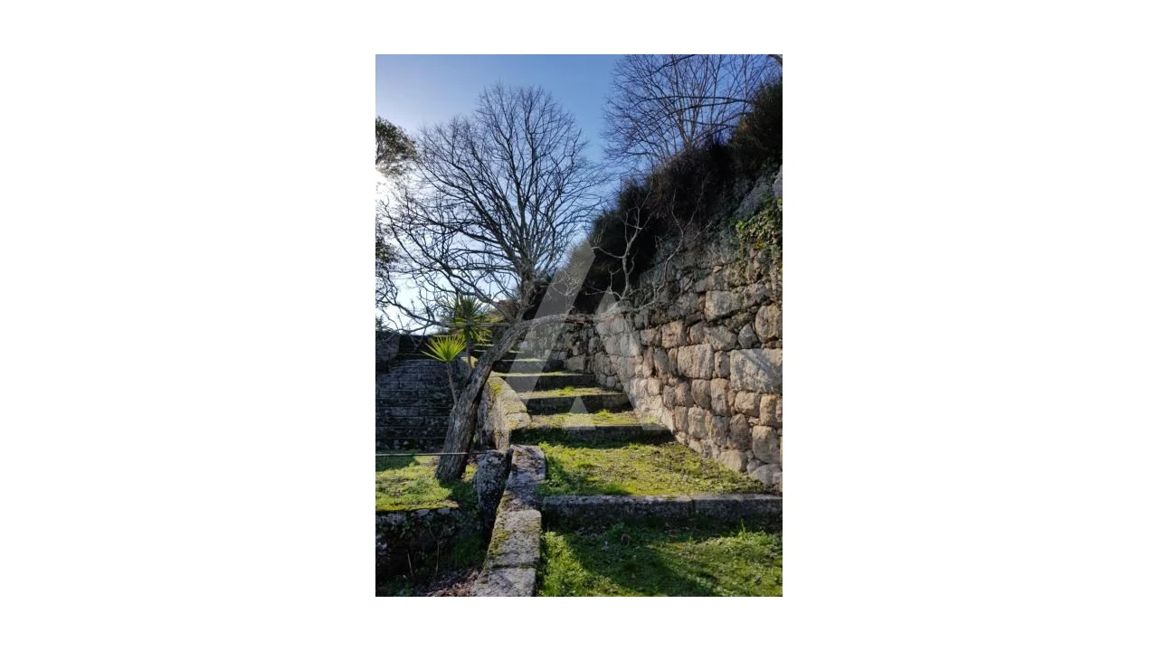 Negócio para Venda em Abrunhosa-A-Velha Foto 66