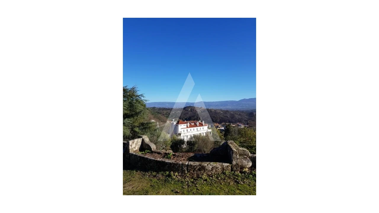 Negócio para Venda em Abrunhosa-A-Velha Foto 64