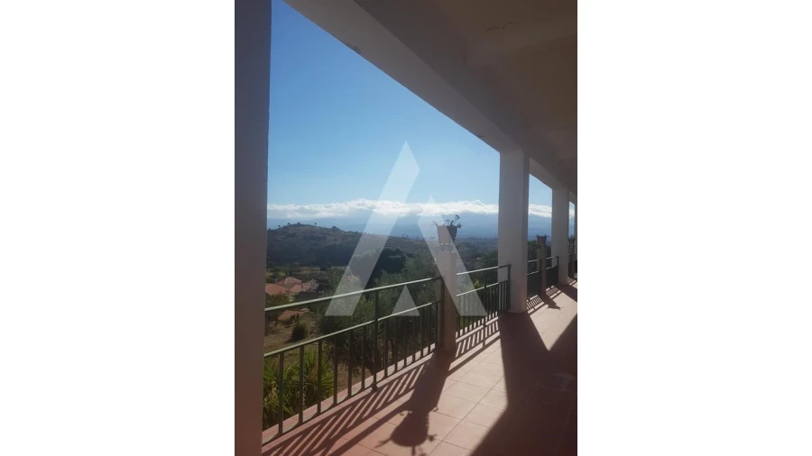 Negócio para Venda em Abrunhosa-A-Velha Foto 17