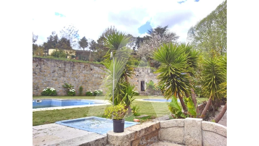 Negócio para Venda em Abrunhosa-A-Velha Foto 29