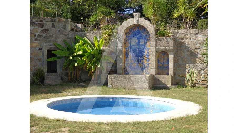 Negócio para Venda em Abrunhosa-A-Velha Foto 31