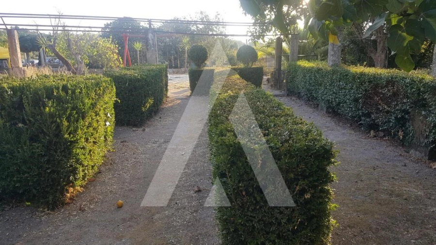 Negócio para Venda em Abrunhosa-A-Velha Foto 32