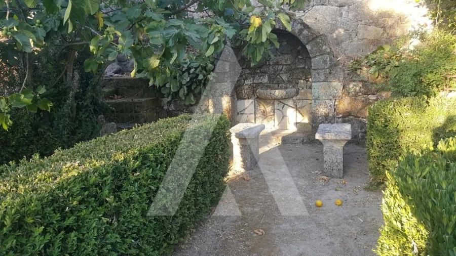 Negócio para Venda em Abrunhosa-A-Velha Foto 33