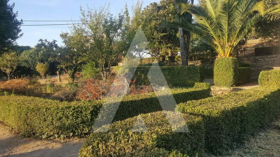 Negócio para Venda em Abrunhosa-A-Velha Foto 34