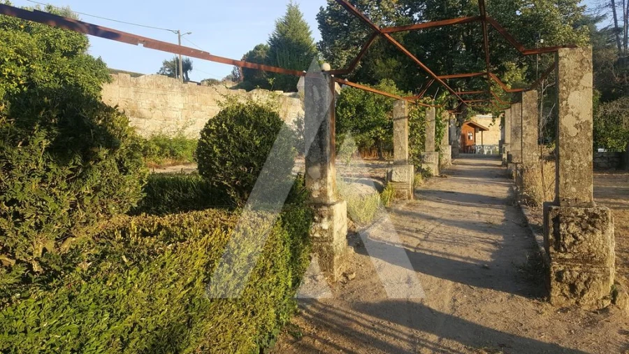 Negócio para Venda em Abrunhosa-A-Velha Foto 35