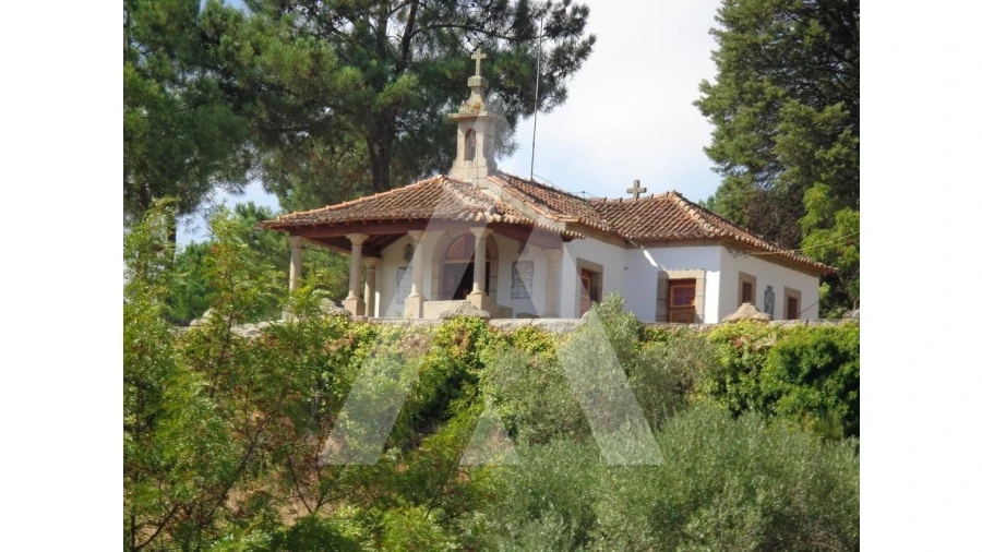 Negócio para Venda em Abrunhosa-A-Velha Foto 43