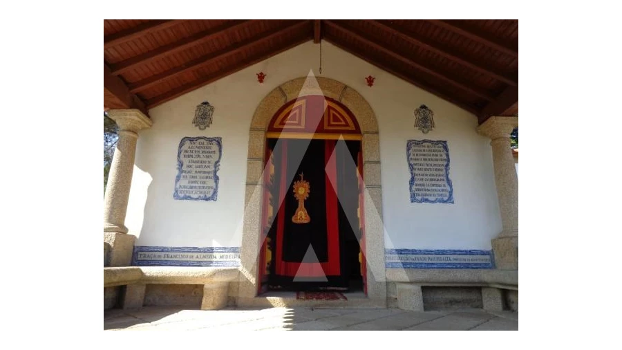 Negócio para Venda em Abrunhosa-A-Velha Foto 44