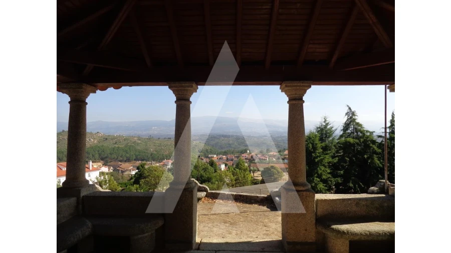 Negócio para Venda em Abrunhosa-A-Velha Foto 47